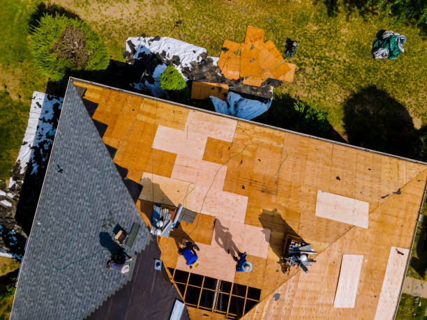 Best Metal Roofing Contractor  in Conneaut Lakeshore, PA