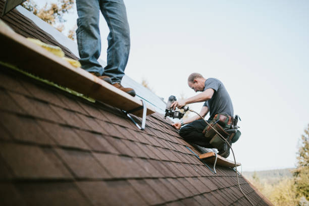 Roof Gutter Cleaning in Conneaut Lakeshore, PA