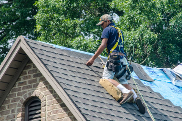 Professional Roofing Contractor in Conneaut Lakeshore, PA